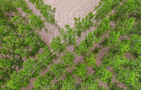 Paisajes Verticales – Fotografía aérea – AGRICULTURA Y MEDIO AMBIENTE