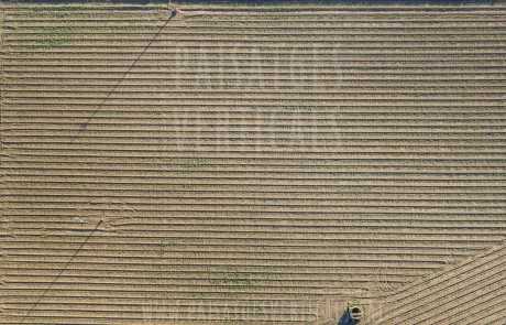 Paisajes Verticales – Fotografía aérea – AGRICULTURA Y MEDIO AMBIENTE